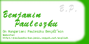 benjamin pauleszku business card